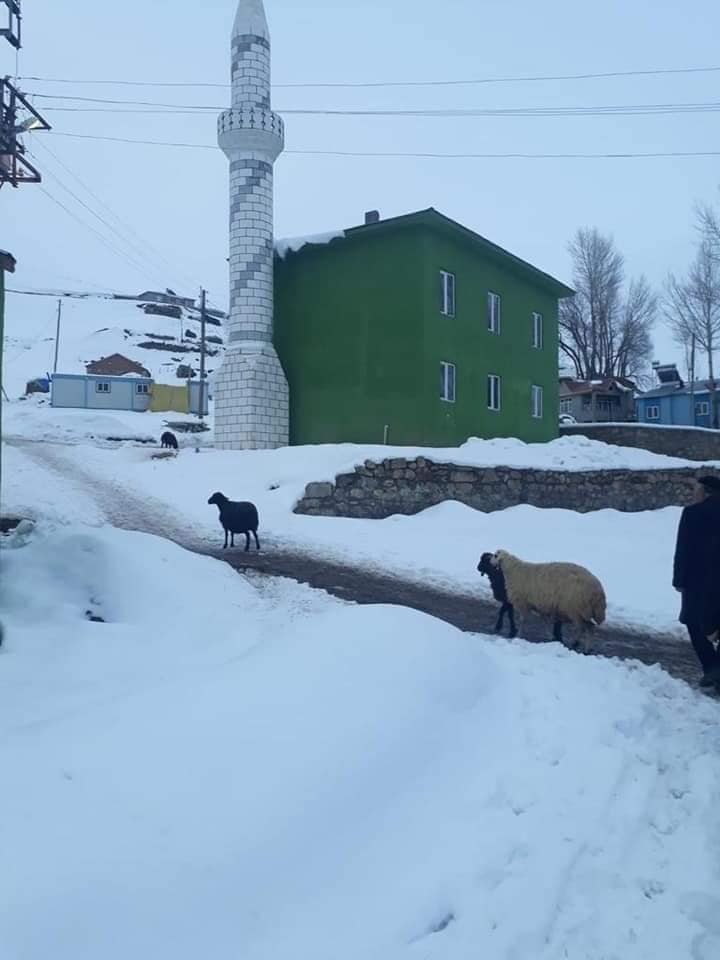 Çat Işkınlı Köyü Resimleri 3