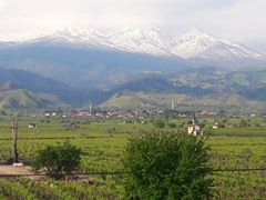 Alaşehir Göbekli Köyü Resimleri 5