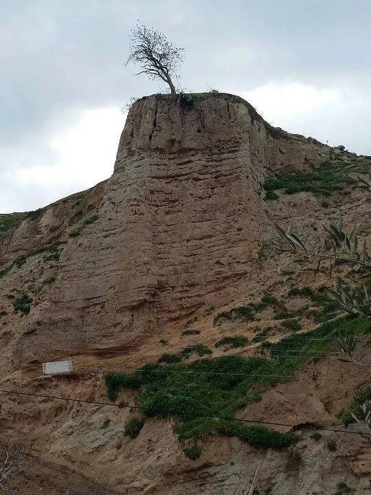 Alaşehir Göbekli Köyü Resimleri 7