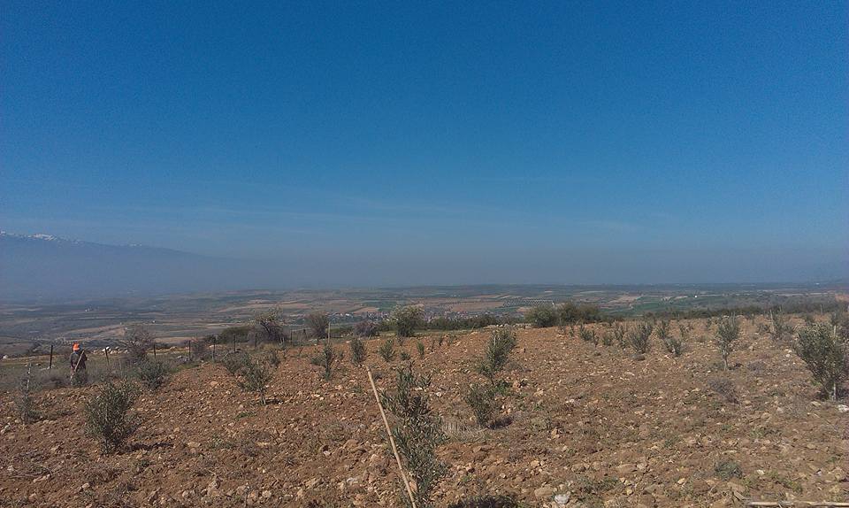 Alaşehir  Gülpınar  Köyü Resimleri 3
