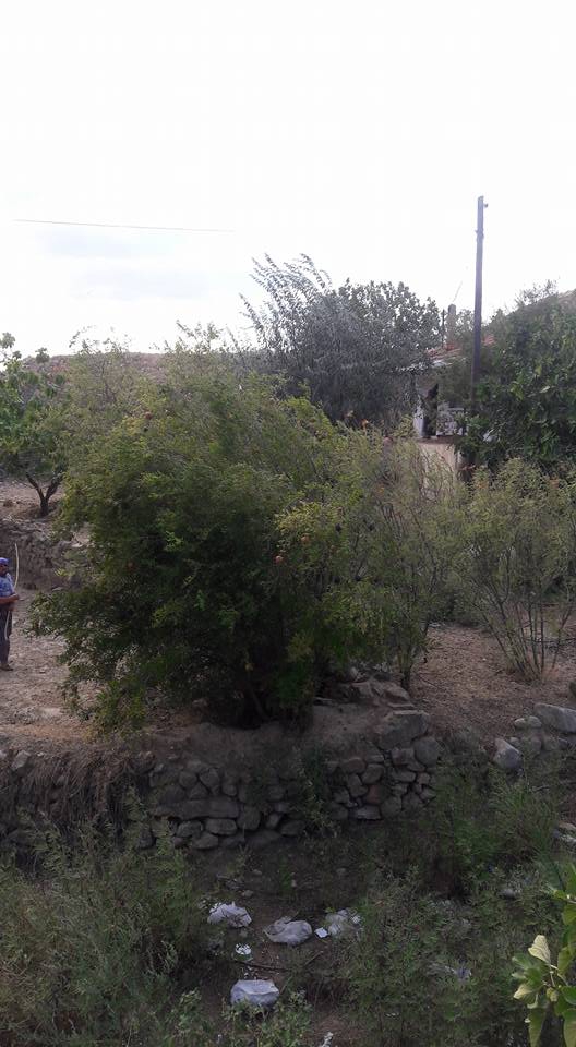 Alaşehir Gümüşçay Köyü Resimleri 2