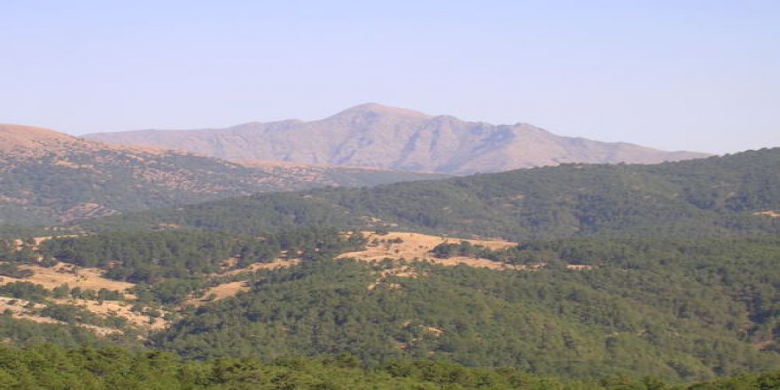 Alaşehir Horzumçamtepe Köyü Resimleri