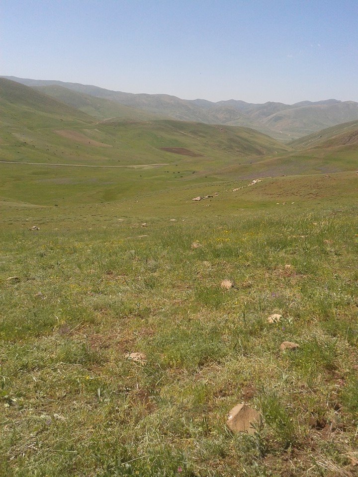 Çat Kurbanlı Köyü Resimleri 1