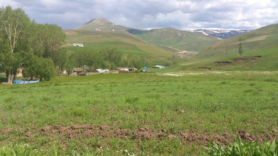 Çat Kurbanlı Köyü Resimleri 4