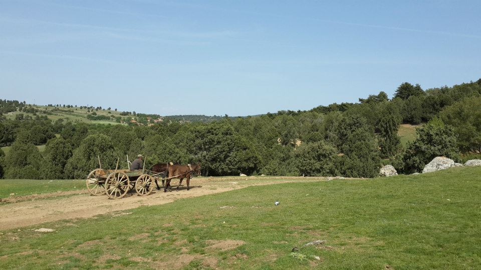 Afyon Dinar Palaz Köyü Resimleri 8