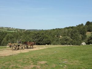 Afyon Dinar Palaz Köyü Resimleri
