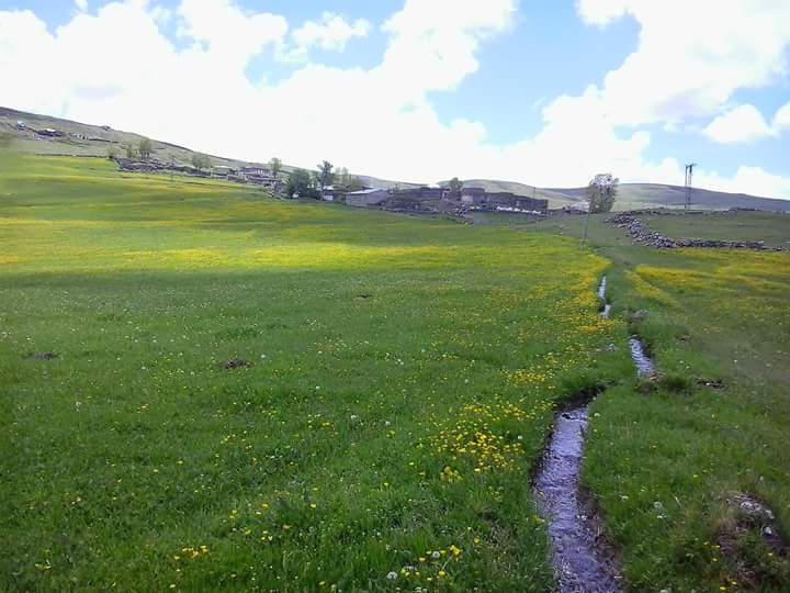 Çat Şeyhhasan Köyü Resimleri 2