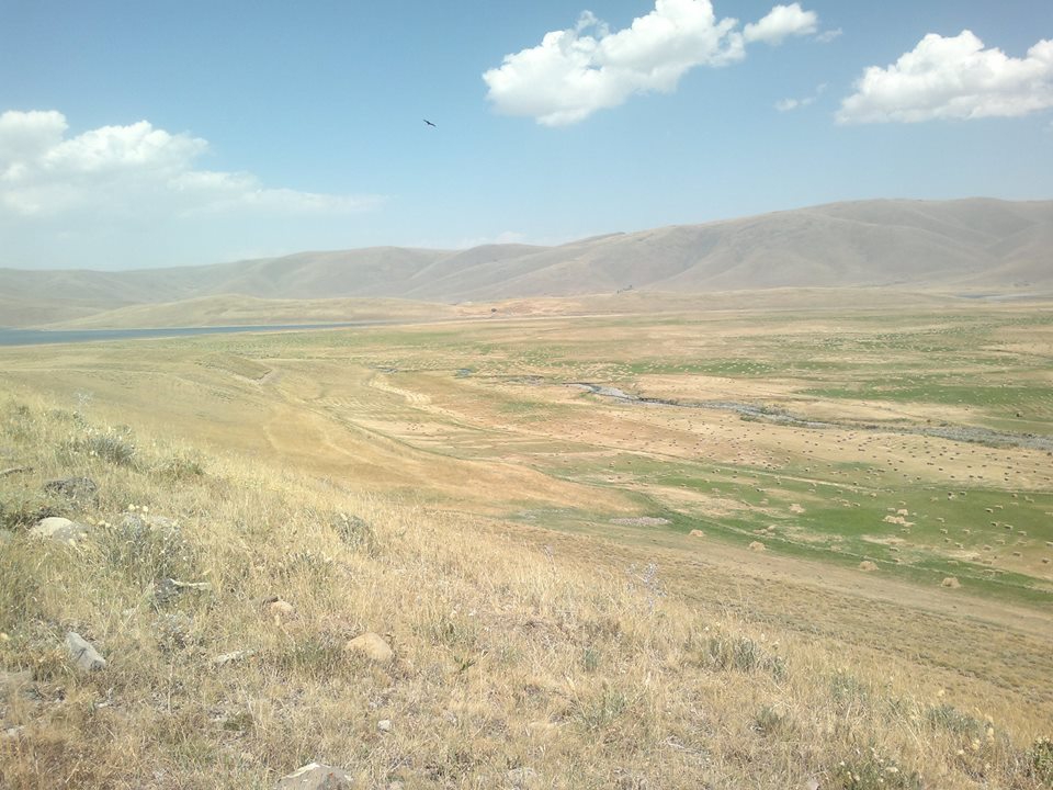 Çat Tüysüz Köyü Resimleri 1