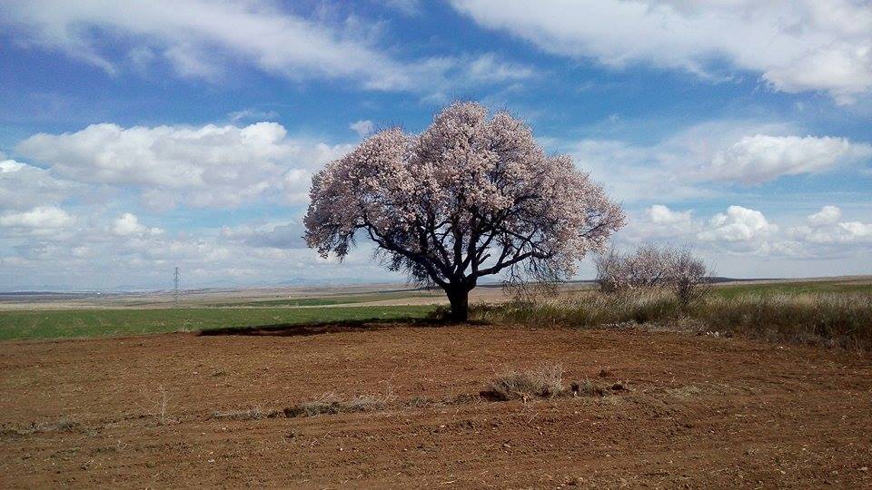 Afyon Emirdağ Daydalı Köyü Resimleri 17