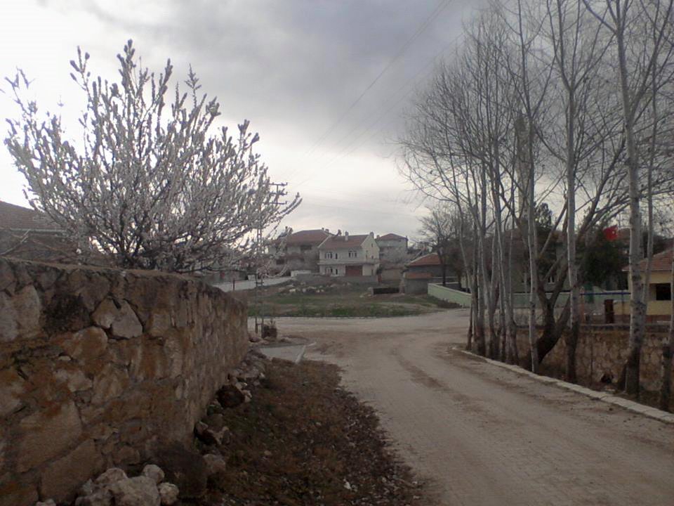 Afyon Emirdağ Daydalı Köyü Resimleri 30