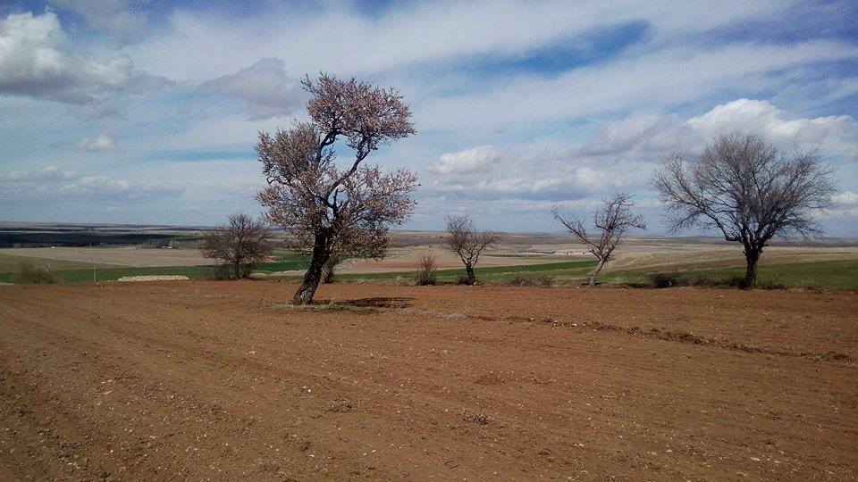 Afyon Emirdağ Daydalı Köyü Resimleri 9
