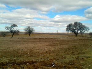 Afyon Emirdağ Daydalı Köyü Resimleri