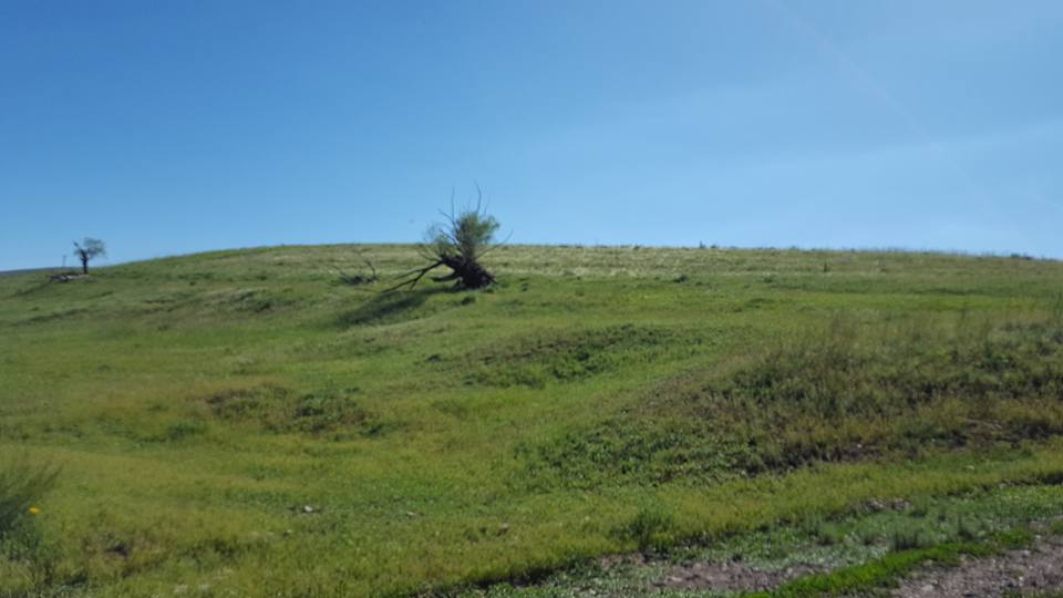 Hınıs Beyyurdu Köyü Resimleri 2