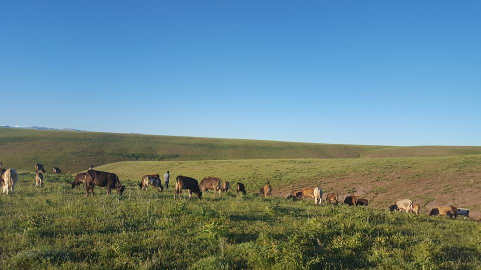 Hınıs Beyyurdu Köyü Resimleri 4