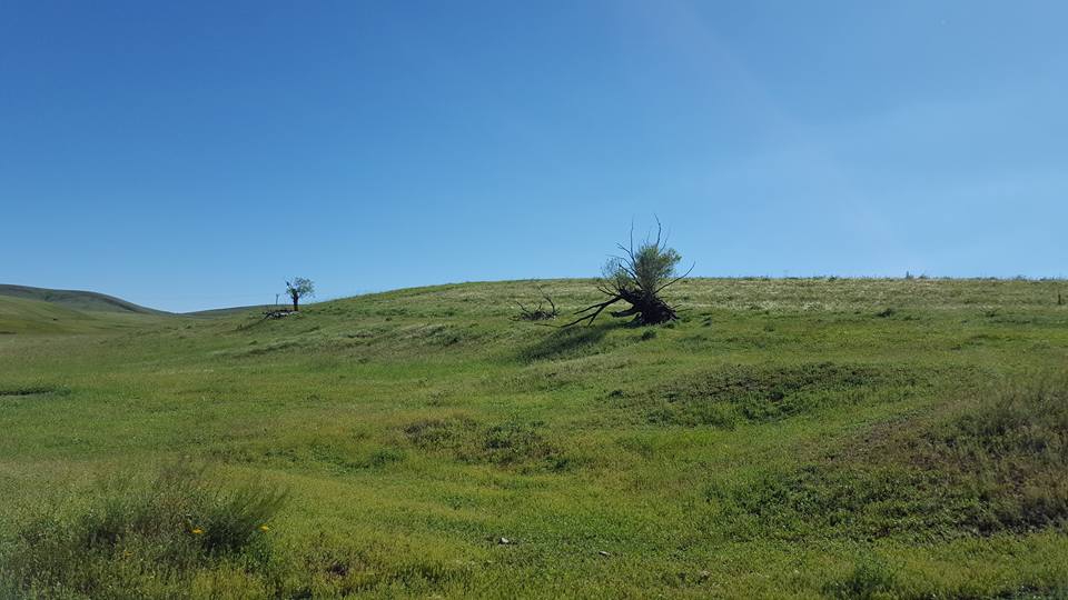 Hınıs Beyyurdu Köyü Resimleri 5