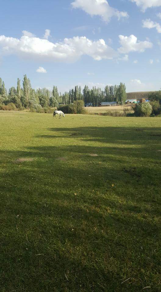 Hınıs Burhan Köyü Resimleri 3