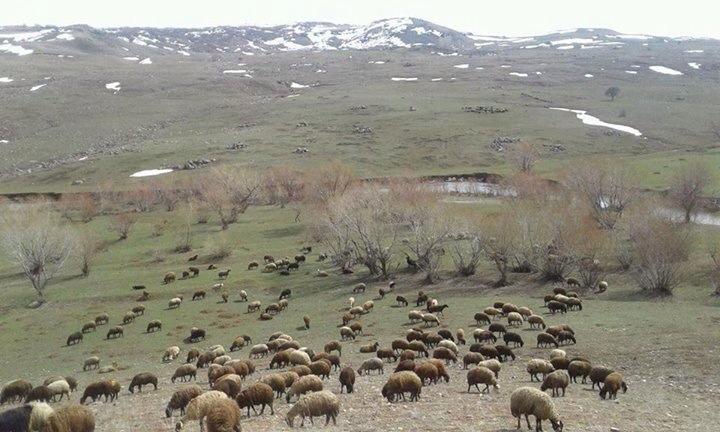 Hınıs Demirci Köyü Resimleri 2