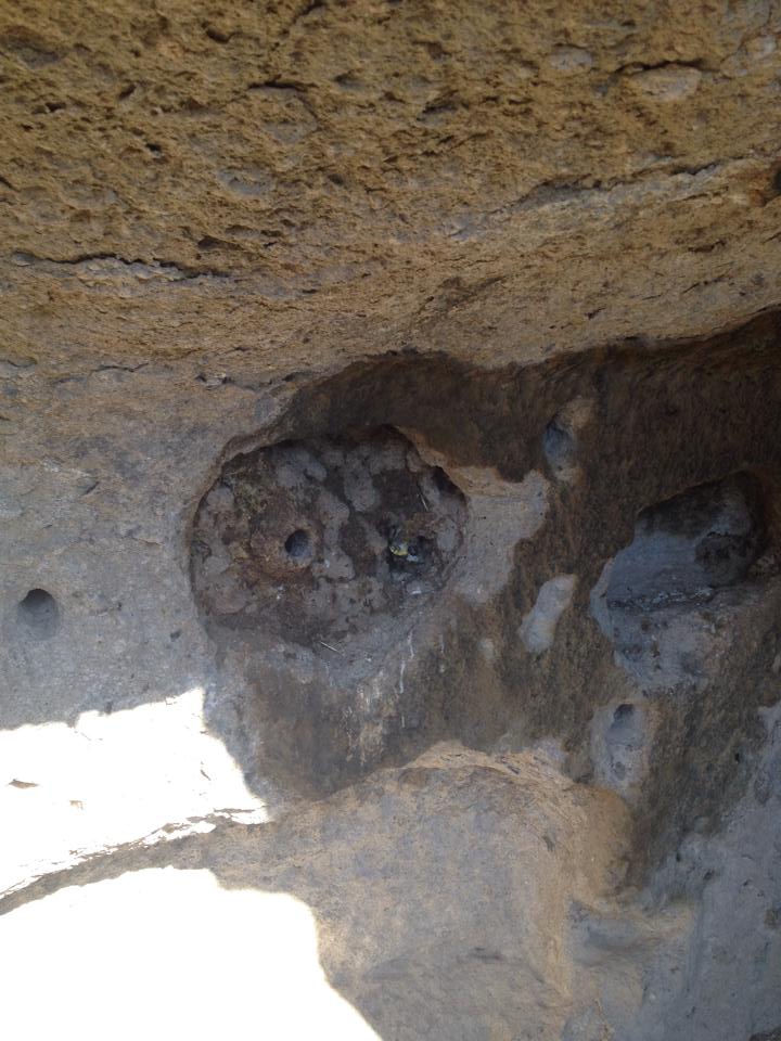 Afyon Emirdağ Dereköy Resimleri 8