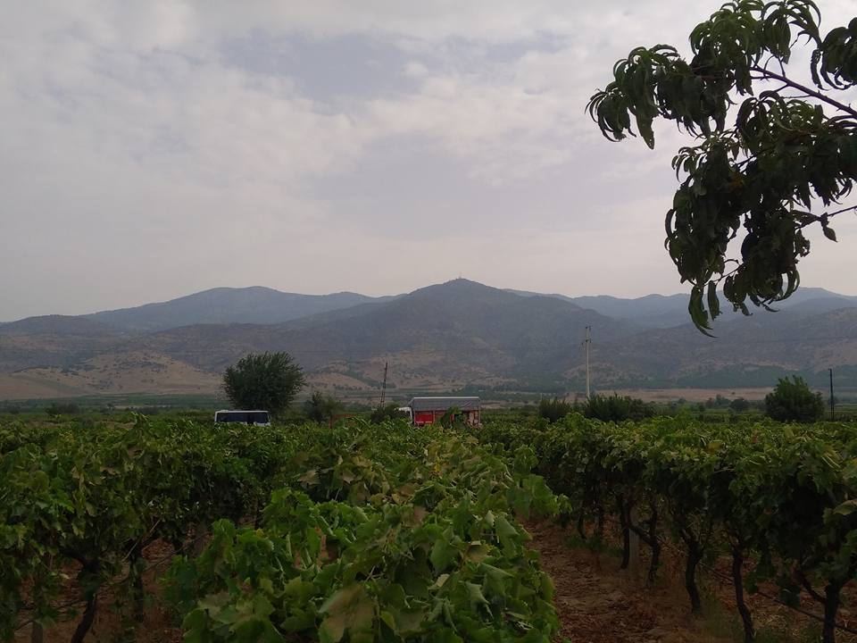 Alaşehir Işıklar Köyü Resimleri 4