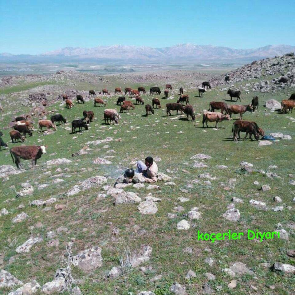 Hınıs Göller Köyü Resimleri 7