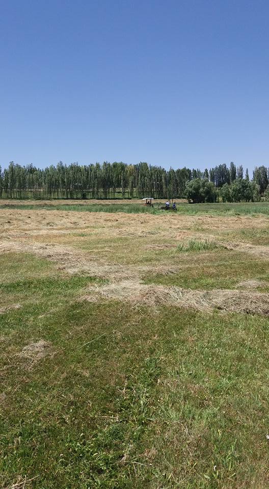 Hınıs Gürçayır Köyü Resimleri 2