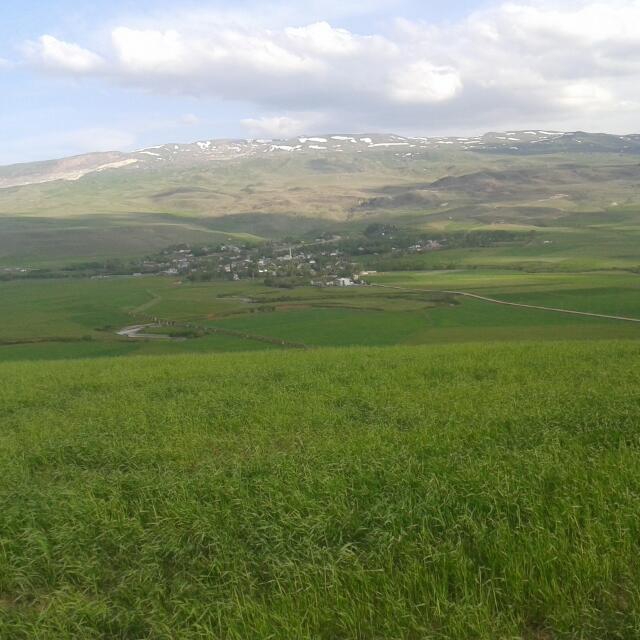 Hınıs Halilçavuş Köyü Resimleri 1