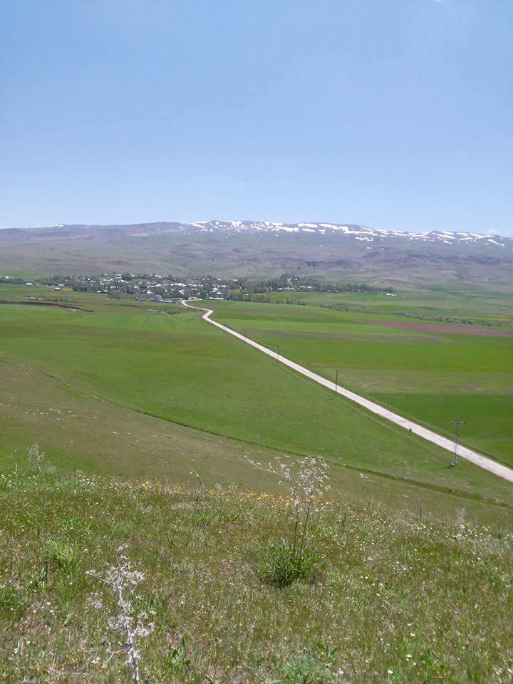 Hınıs Halilçavuş Köyü Resimleri 5