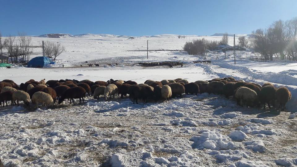 Hınıs Kızılahmet Köyü Resimleri 9