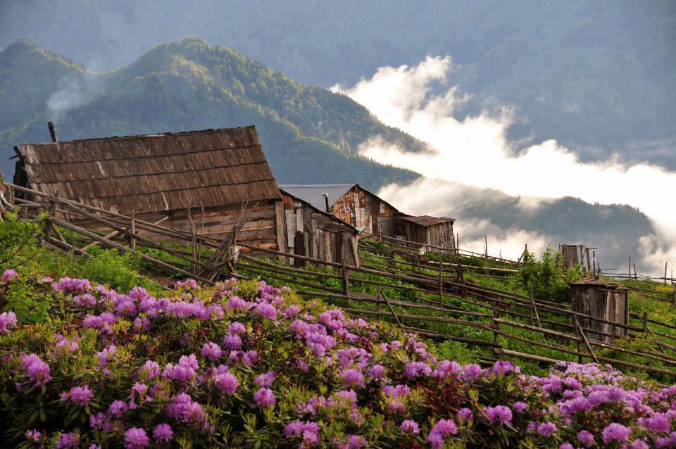 Gümüşhane Akçakale Köyü Resimleri 9