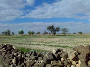 Afyon Emirdağ Eşrefli Köyü Resimleri