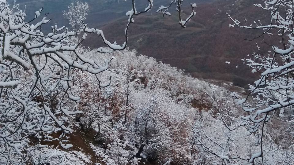 Alaşehir Karadağ Köyü 1
