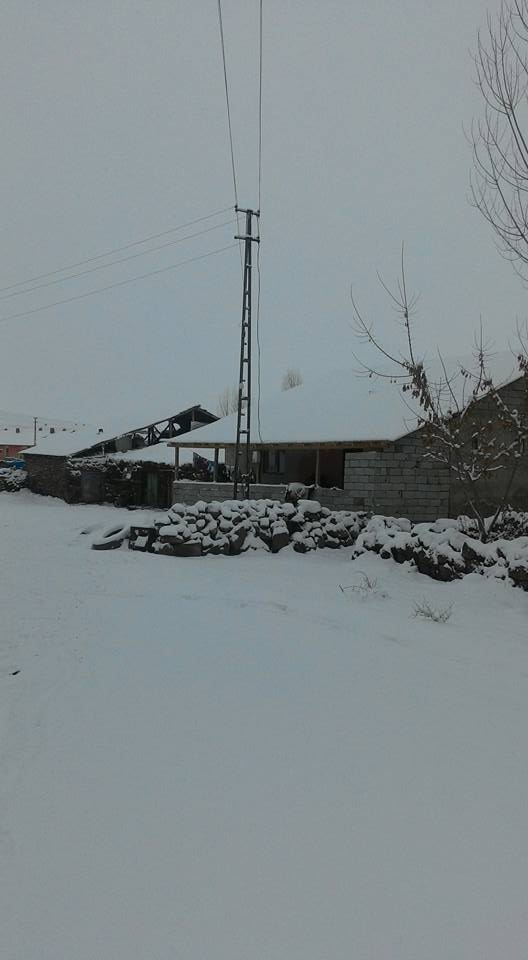 Hınıs Mollakulaç Köyü Resimleri 3