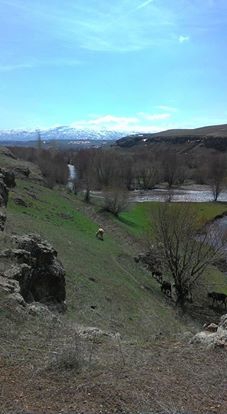 Hınıs Mollakulaç Köyü Resimleri 5