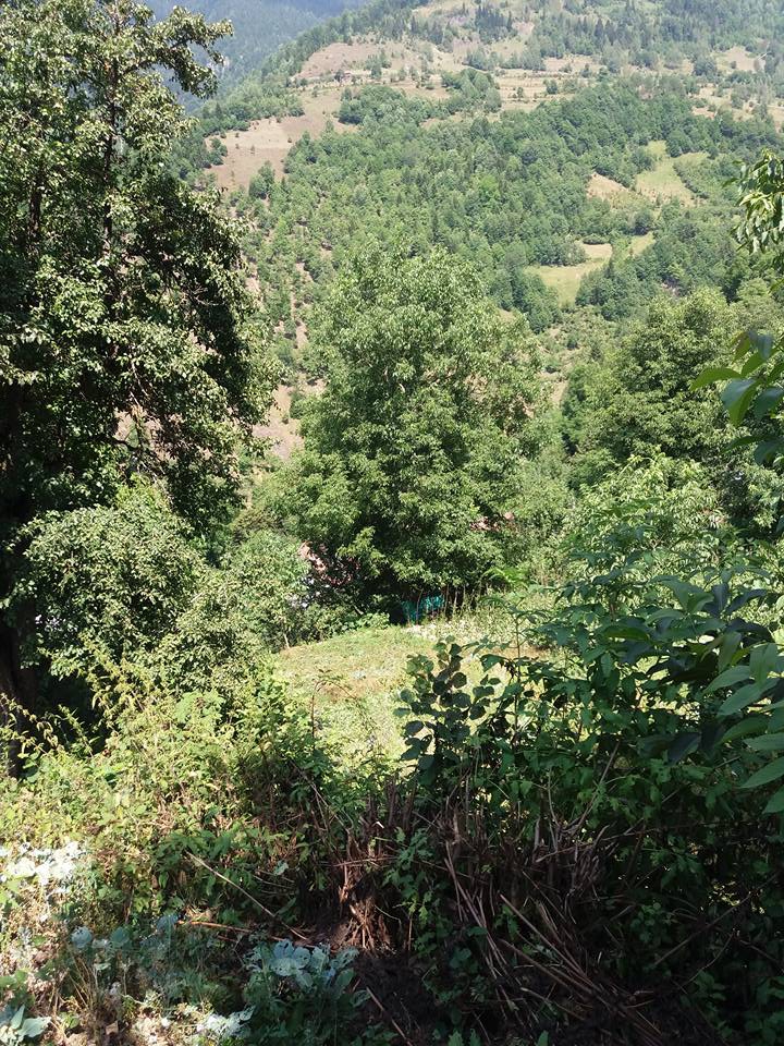 Gümüşhane  Aksu  Köyü Resimleri 3