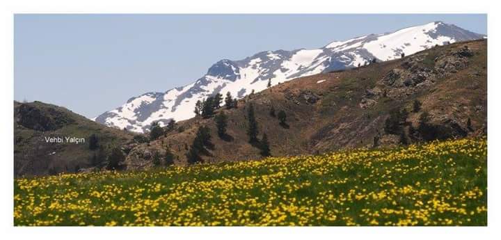 Gümüşhane  Aksu  Köyü Resimleri 5