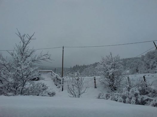 Gümüşhane  Aksu  Köyü Resimleri 6