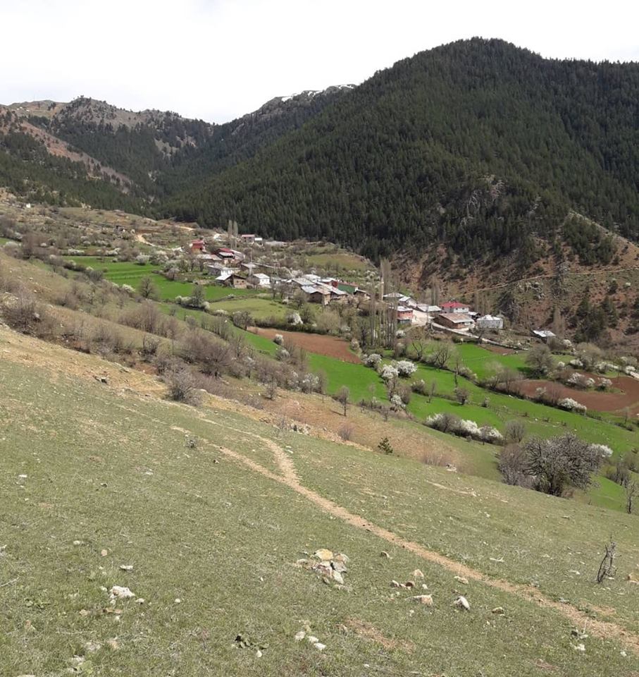 Gümüşhane  Aksu  Köyü Resimleri 7