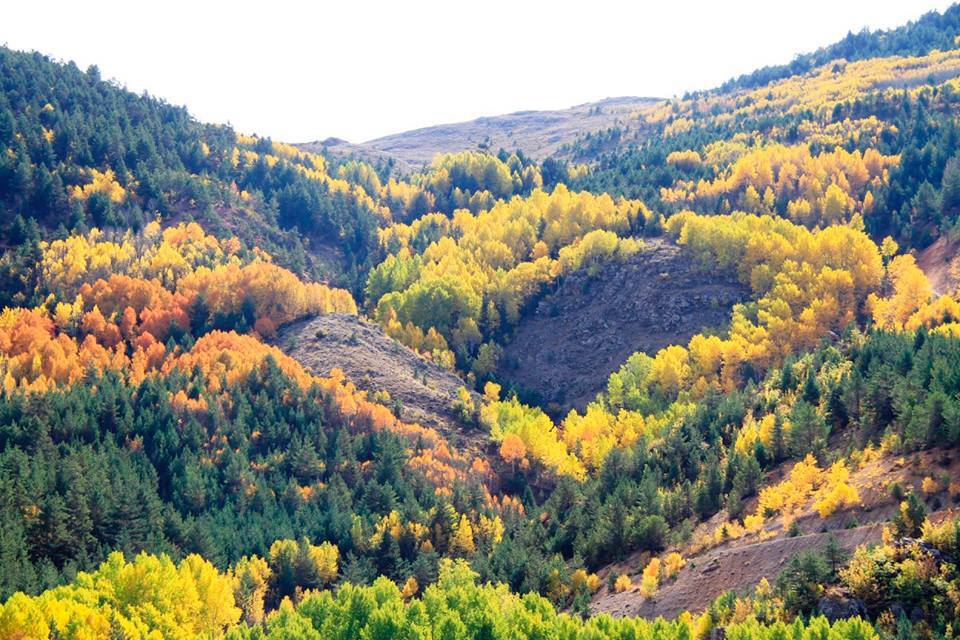 Gümüşhane  Aktutan  Köyü 2