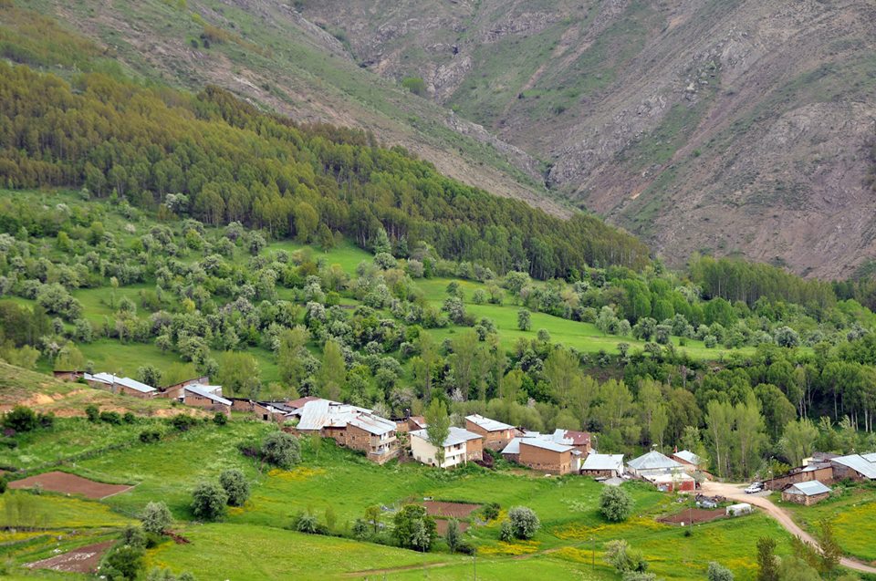 Gümüşhane  Aktutan  Köyü 4