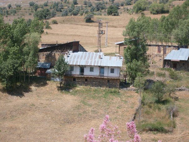 Gümüşhane  Aktutan  Köyü 5