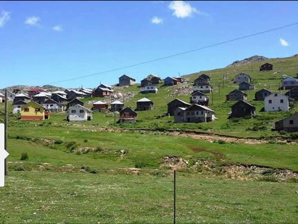 Gümüşhane  Alçakdere  Köyü 1