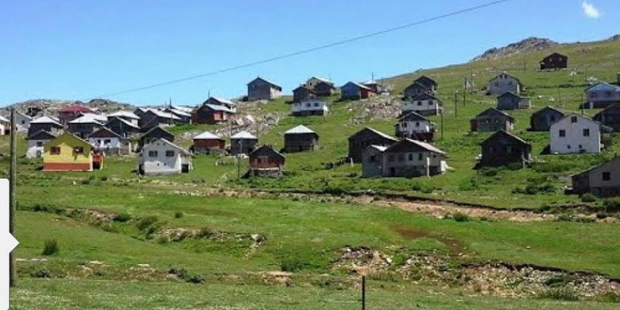 Gümüşhane Alçakdere Köyü