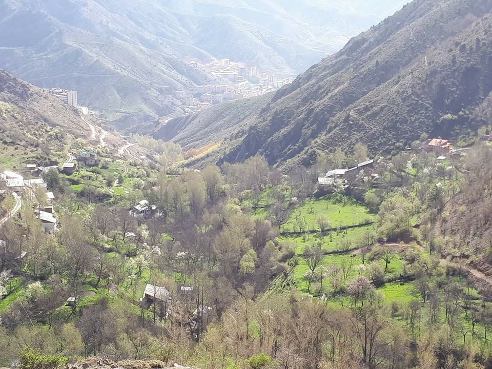 Gümüşhane  Alemdar  Köyü Resimleri 4