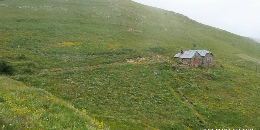 Gümüşhane Arslanca Köyü Resimleri