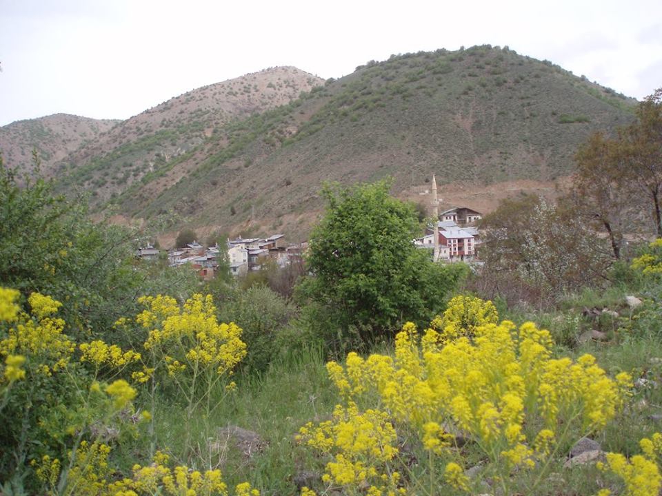 Gümüşhane  Aşağıalıçlı  Köyü Resimleri 6