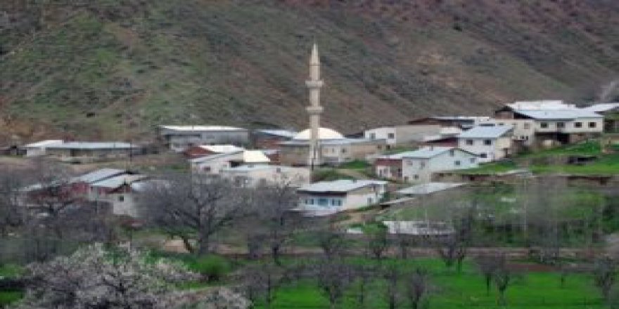 Gümüşhane  Aşağıalıçlı  Köyü Resimleri