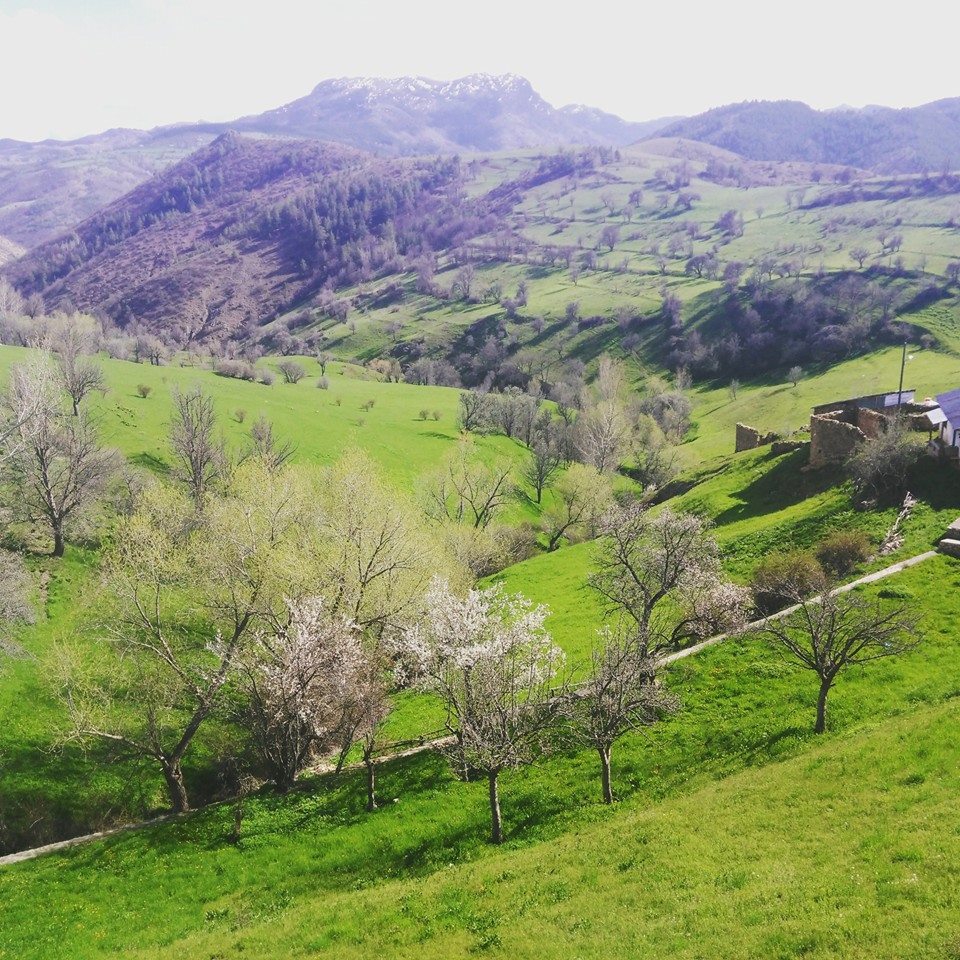 Gümüşhane  Avşarbeyli  Köyü Resimleri 1