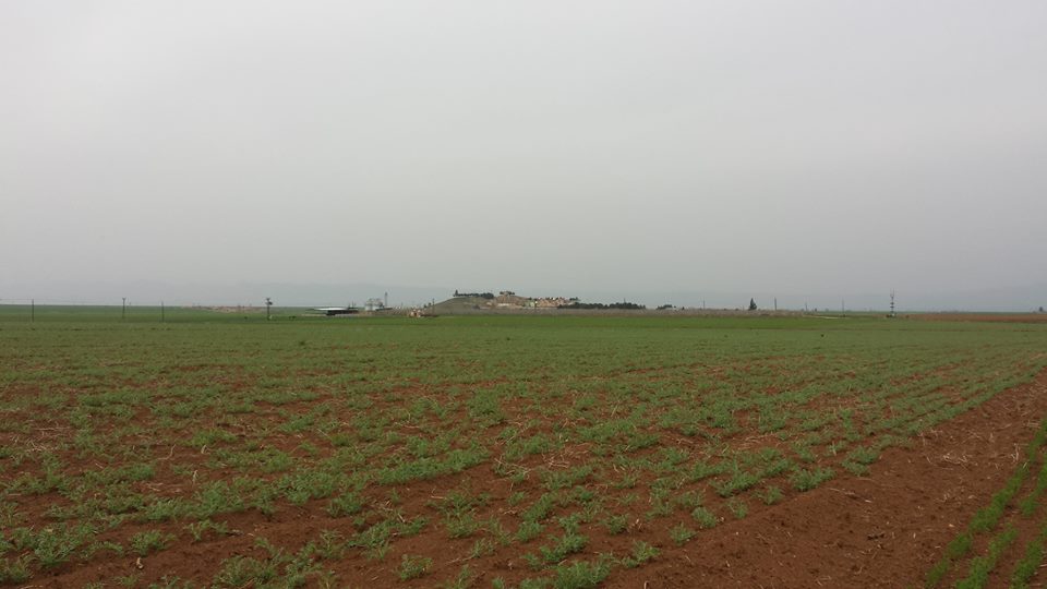 Kızıltepe Çağıl Köyü Resimleri 2
