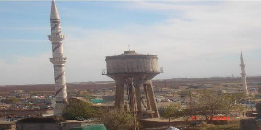 Kızıltepe Çamlıca Köyü Resimleri