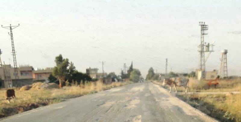 Kızıltepe Çamlıdere Köyü Resimleri 2
